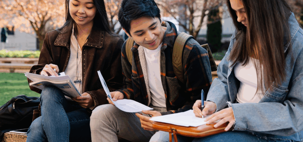 Planes públicos de fomento del empleo joven en Madrid