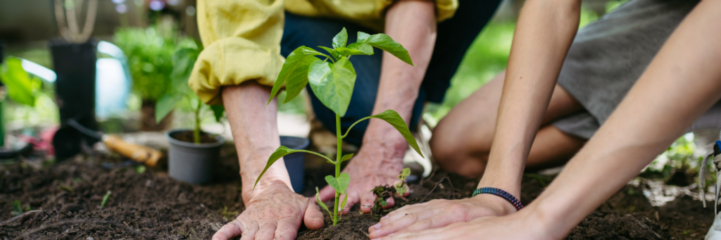 Madrid cultiva el futuro desde las aulas: el VI Encuentro de la Red de Huertos Escolares Sostenibles