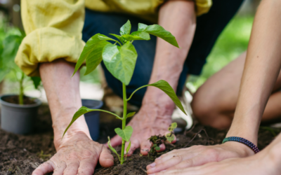 Madrid cultiva el futuro desde las aulas: el VI Encuentro de la Red de Huertos Escolares Sostenibles